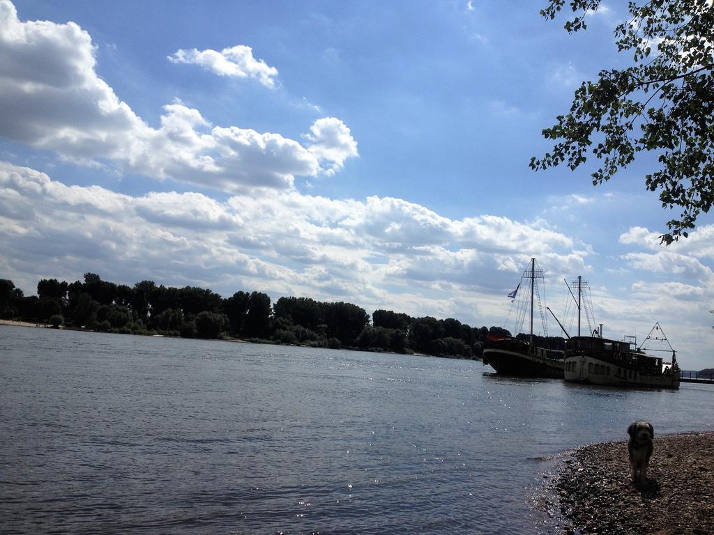 Koeln City Apartments Dış mekan fotoğraf